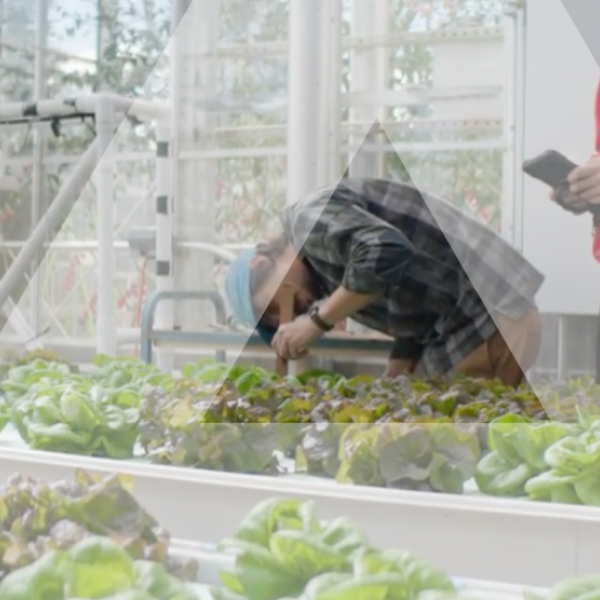 people examining plants with a delta overlay