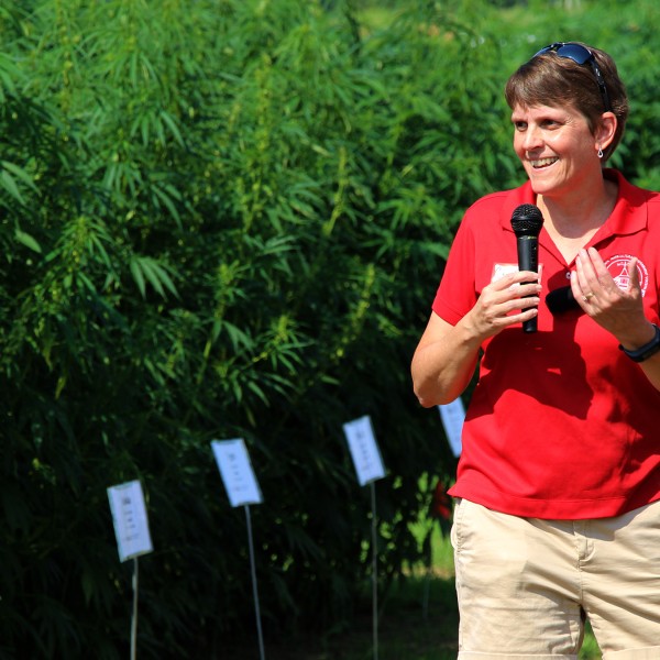 Chris Smart giving an extension talk at a hemp field day event