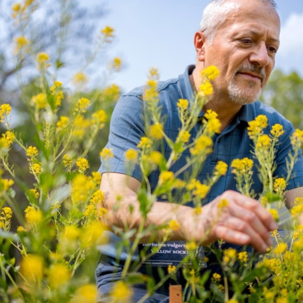 Antonio DiTommaso in the Cornell Weed Science Teaching Garden