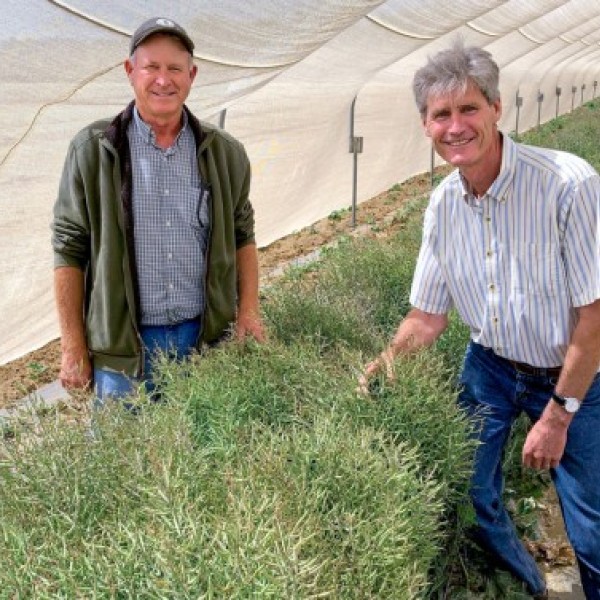 Bejo USA president Mark Overduin, left, and professor Thomas Björkman.