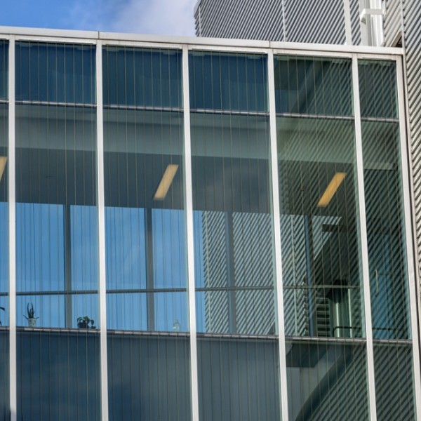 Wires, installed to deter birds from flying into the glass, are seen on the footbridge of Stocking Hall.