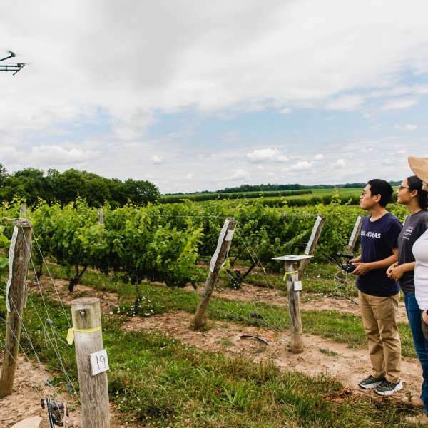 Cornell AgriTech's Digital Agriculture team, assistant professor Katie Gold, assistant professor Yu Jiang and graduate student Maylin Murdock testing a drone in a field.