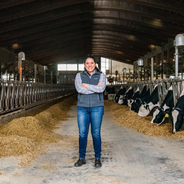 woman stands in the middle of a dairy cow barn
