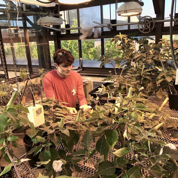 man working in a green house
