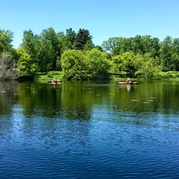 Undergraduate researchers in kayaks on a pond collecting samples 