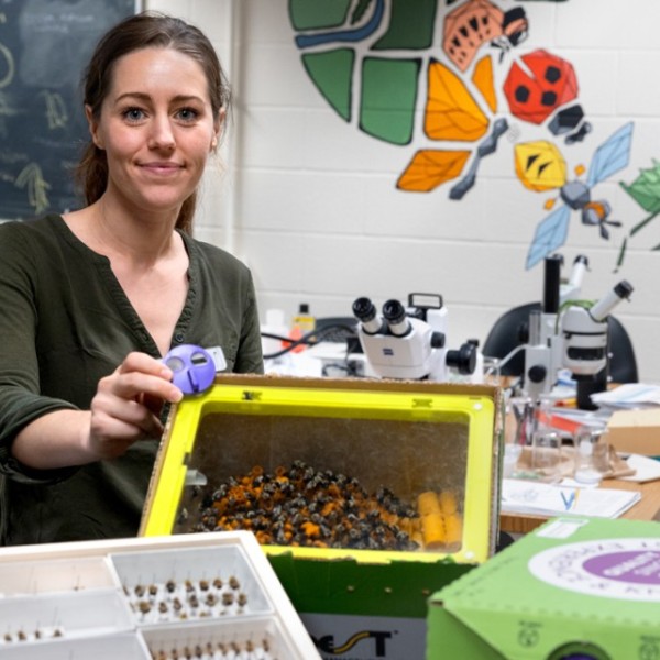 Researcher Heather Grab holds an excluder next to a commercial bumblebee nest box