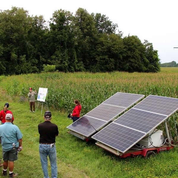 field day attendees viewing solar panels corn crop and researcher with poster