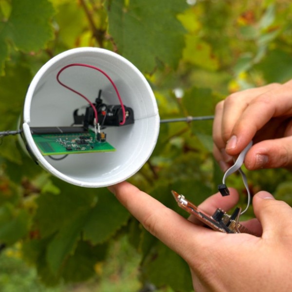 Hands connect wires in a cup suspended between leafy plants.