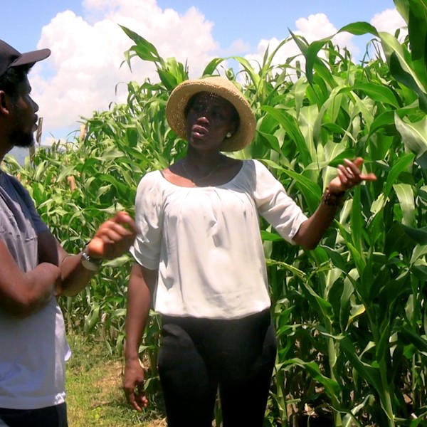 Researchers in a field