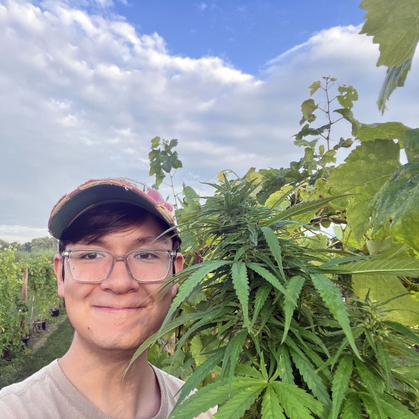 Graduate student David Hugel poses next to hemp and grapes