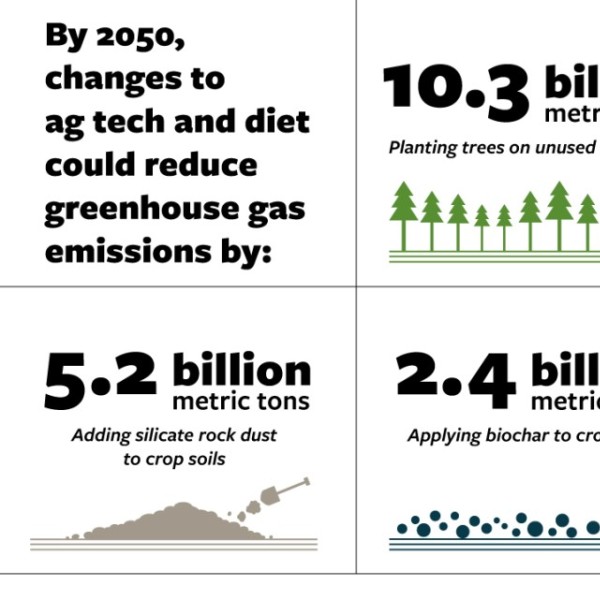 Infographic which reads: By 2050, ag tech and diet could reduce greenhouse gas emissions by: 10.3 Billion Metric Tons, planting trees on unused farm land; 8.2 Billion metric tons, encouraging a "flexitarian" diet around the globe; 5.2 Billion metric tons, adding silicate rock dust to crop soils; 2.4 Billion Metric Tons, adding biochar to croplands; 1.7 Billion Metric Tons, supplementing livestock feed. 