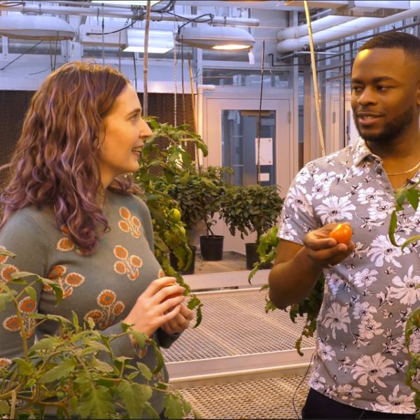 Researchers in greenhouse