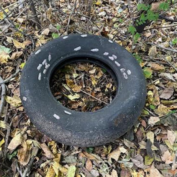 an old car tire with light gray spotted lanternfly egg masses on it