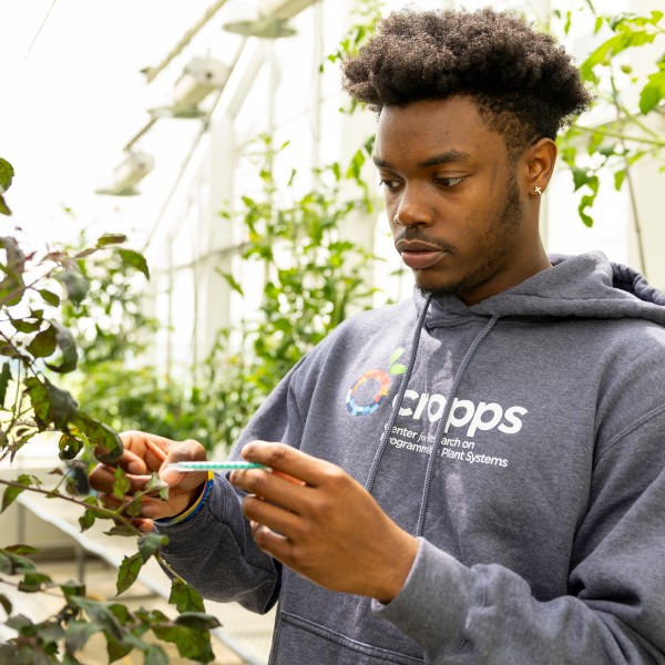 A student performs an experiment on a plant in a greenhouse