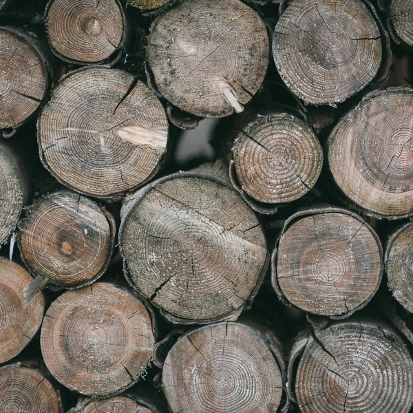 Pile of logs.