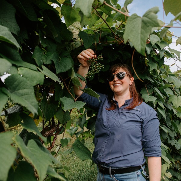 Erin Galarneau examines a bunch of grapes at AgriTech