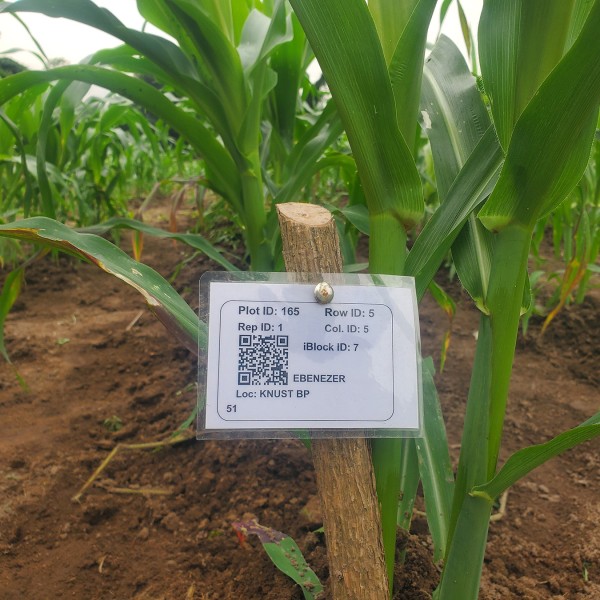 Plot label in field