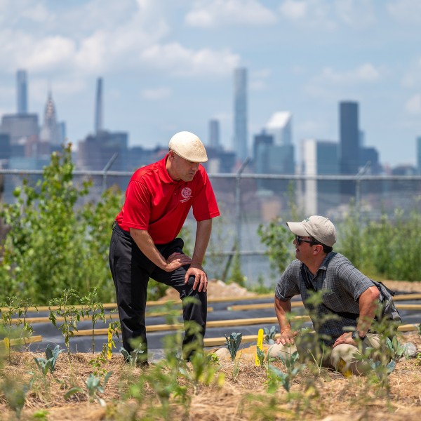 Two people examine a plot in an urban agriculture farm 