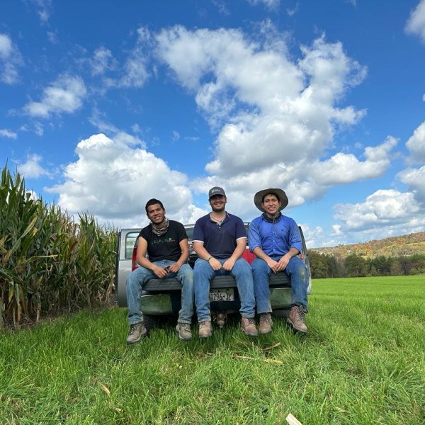Three people sitting on the tailgate of a truck in a field.
