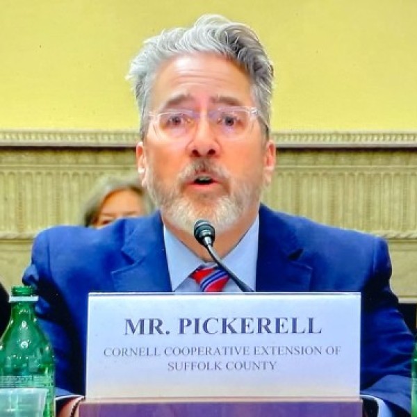 A white man with grey hair speaks into a microphone on a table sitting down. In from of him reads "Mr. Pickerell Cornell Cooperative Extension of Suffolk County"