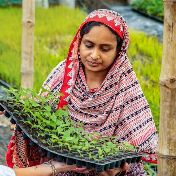Two women, one in a long sleeved stripped shirt and jeans, and the other in a traditional dress with a bright red pattern and head covering, hold up seedlings in a field.  