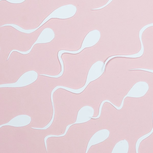 Stylized sperm cells swimming on a pink background.