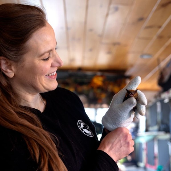 A woman holds a bat with gloves in a room with wooded ceilings.