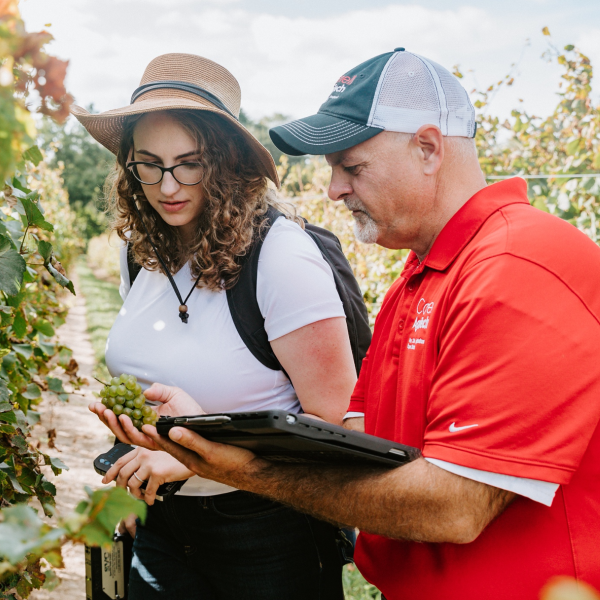 a woman in a hat and a man in a red shirt stand in a vineyard