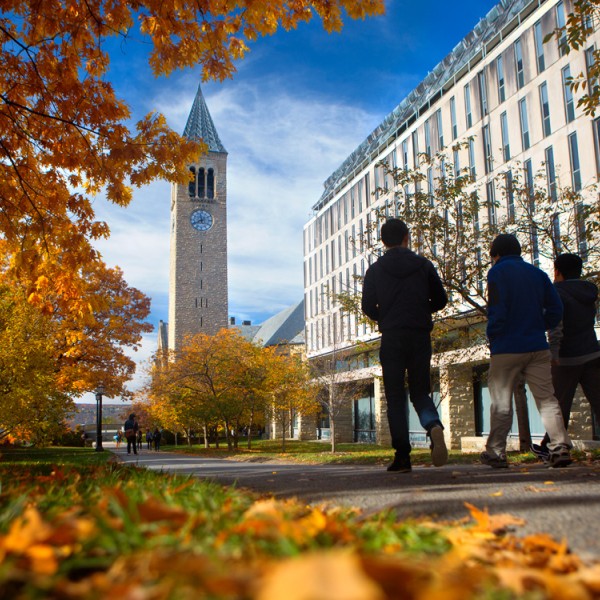 students walk on campus in the fall