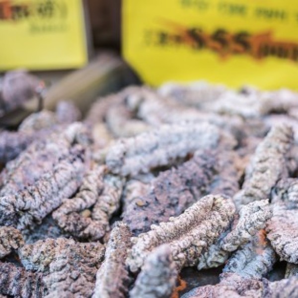Sea cucumber for sale in a market 