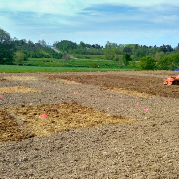 A farm worker prepares a field for planting