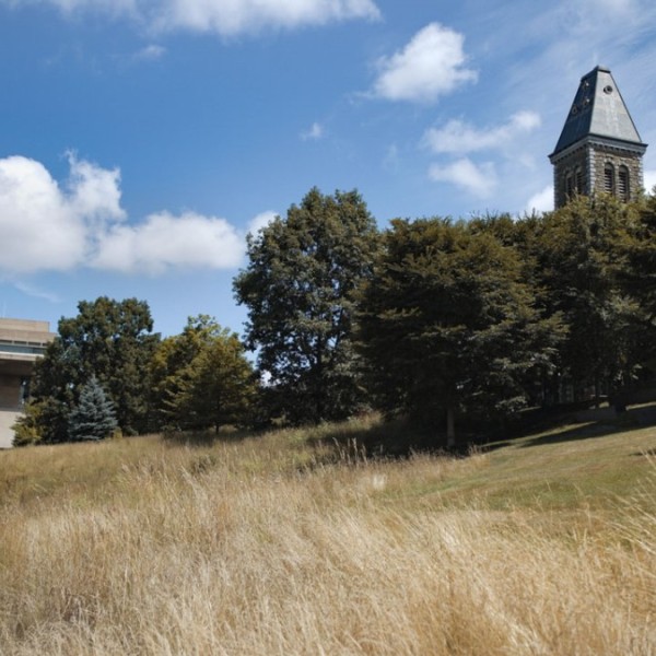 A tall-grass area of Libe Slope