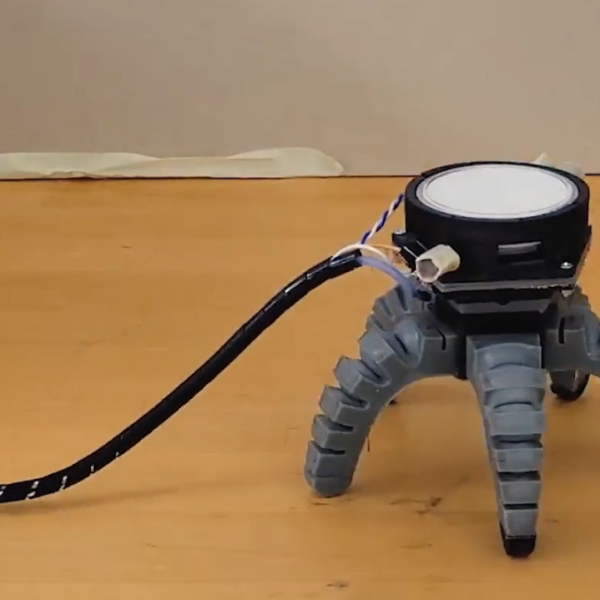 A biohybrid robot