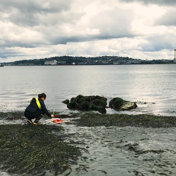 researcher in seagrass