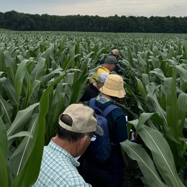 People standing in a field walking in a line.