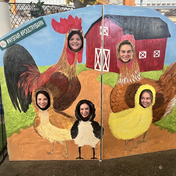 individuals with their faces on the bodies of farm animals