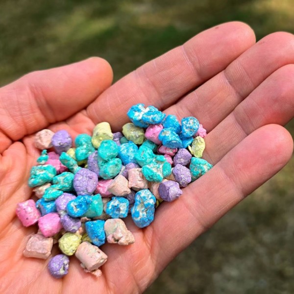multicolored corn-shaped seed pellets in a hand  