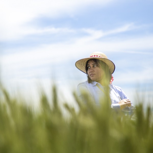 Researchers in a field