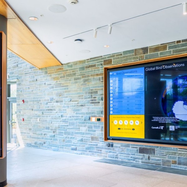 The Lab of Ornithology welcome center