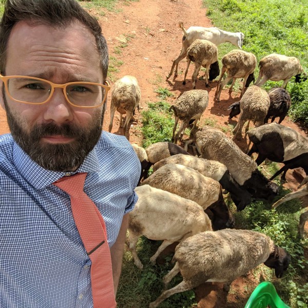 selfie of andrew bell with sheep