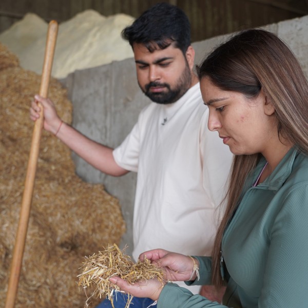 a woman holds chopped straw in her hand while a man watches