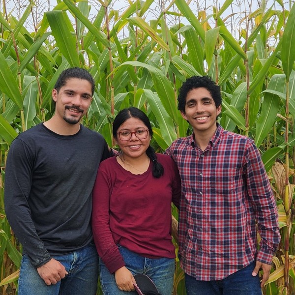 Three people standing in front of crops smiling, arm in arm.