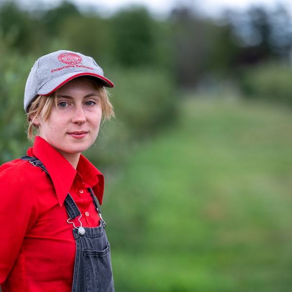 A woman stands in a berry field