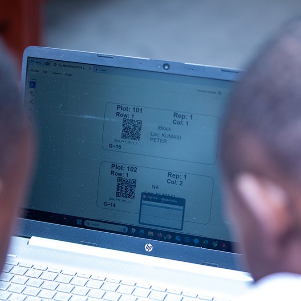 Researchers at a computer