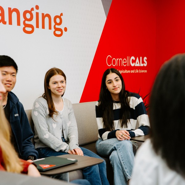 group of students in a discussion