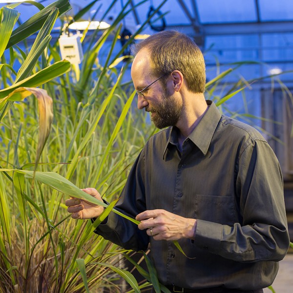 ed buckler working in a greenhouse