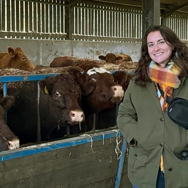 a woman stands in a cow barn