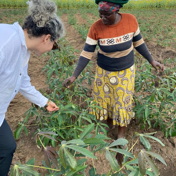 Two women inspect plants in a field