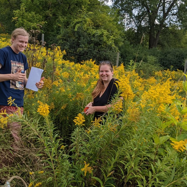 Students in a field of goldenrod