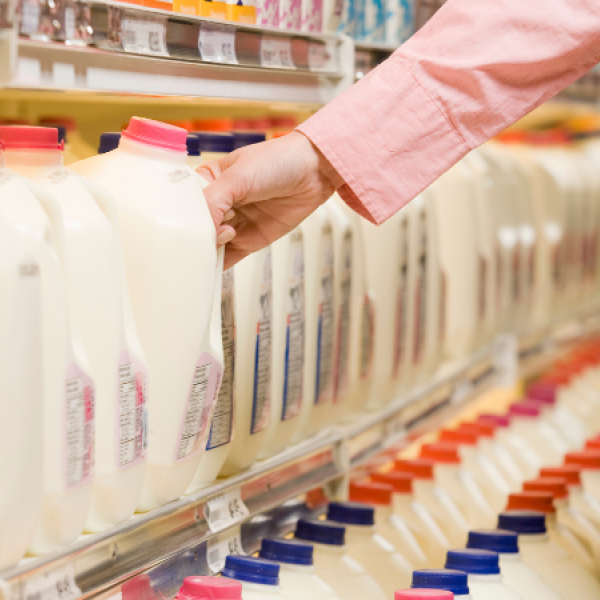 A hand reached for a half-gallon milk jug in the dairy aisle of a grocery store